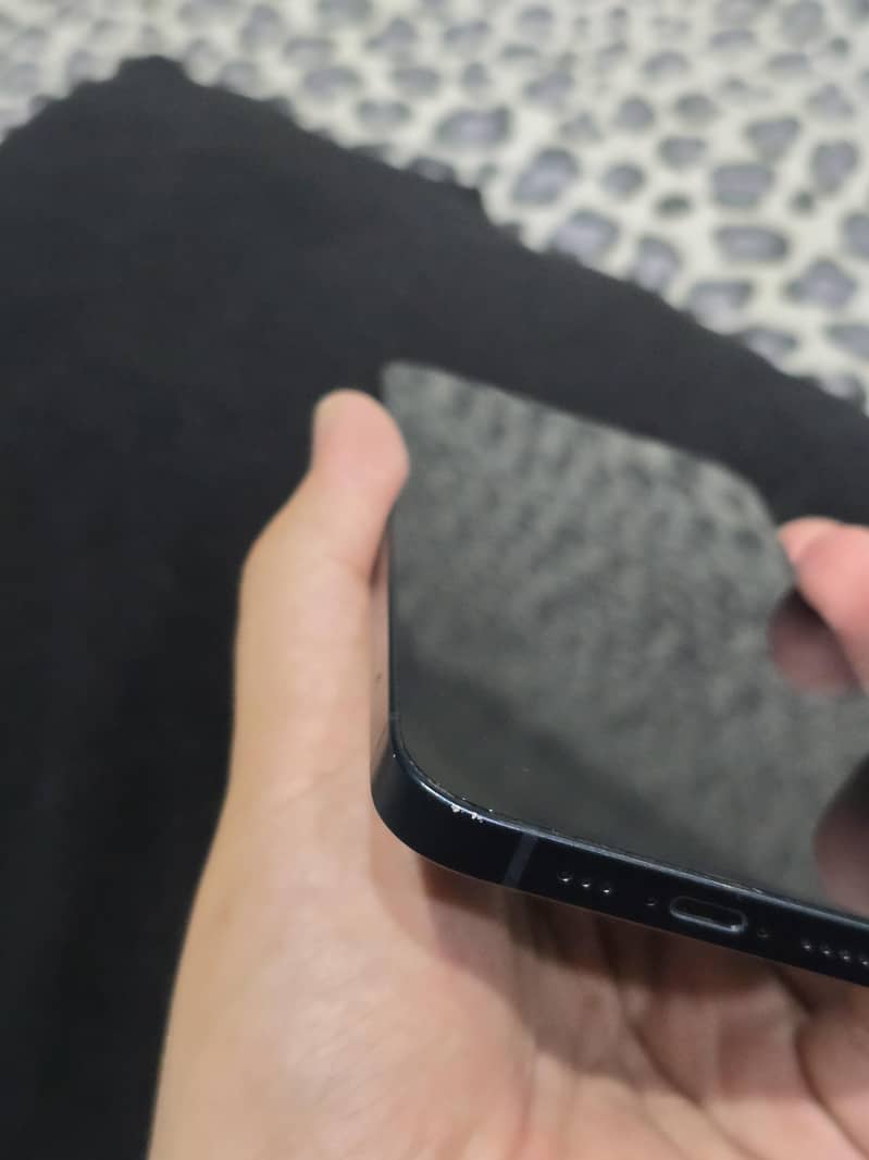 Apple iPhone 13 12