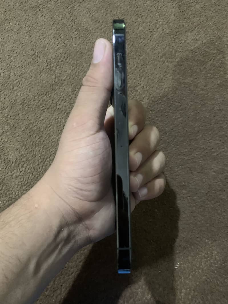 Apple iPhone 13 Pro Max 1