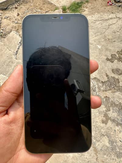 Apple iPhone 12 Pro Max (128) pta approved