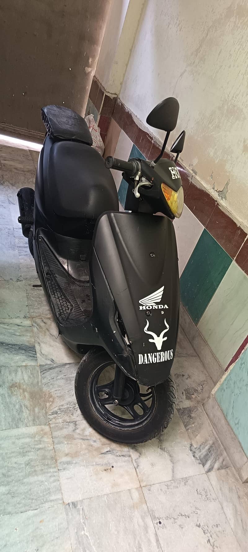 49 cc 1