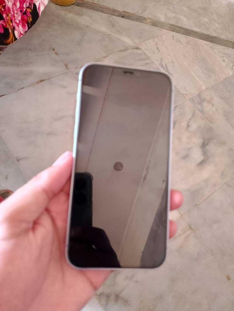 Apple iPhone 12 3