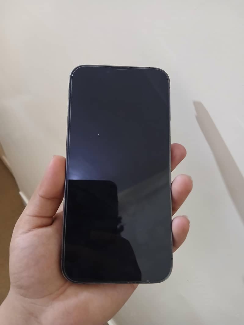 Apple iPhone 13 Pro Max 2