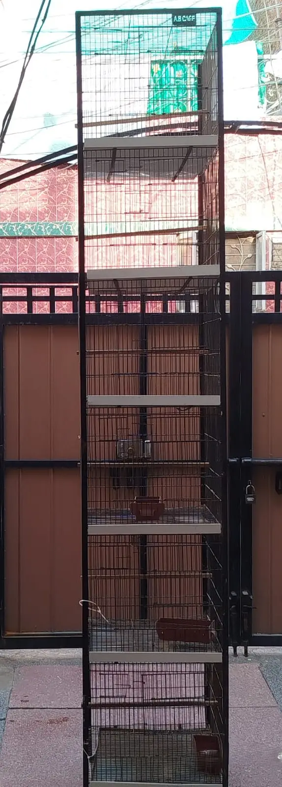 Birds Cages — photo 3