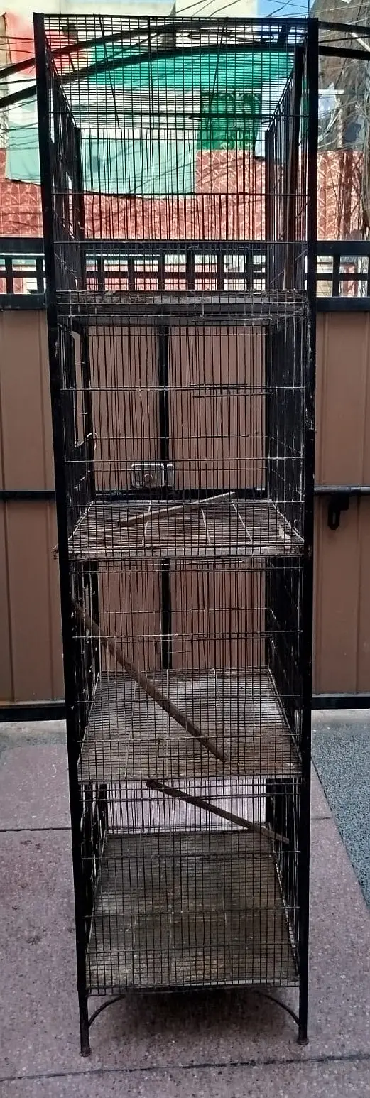 Birds Cages — photo 2