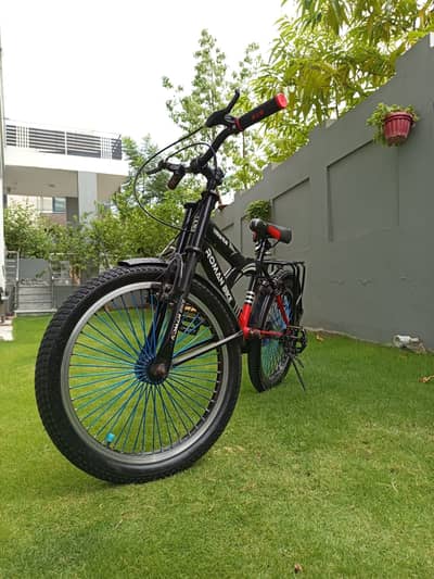 20" Roman Bike | Excellent Condition | New Seat & Handle Grips |