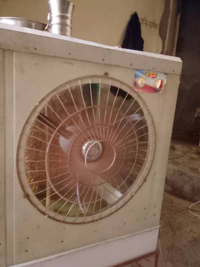 Room air collar urgent for sale
