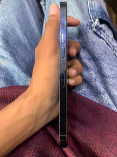 Apple iPhone 12 Pro Max