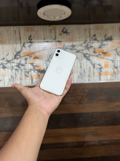 Apple iPhone 11 128gb water pack