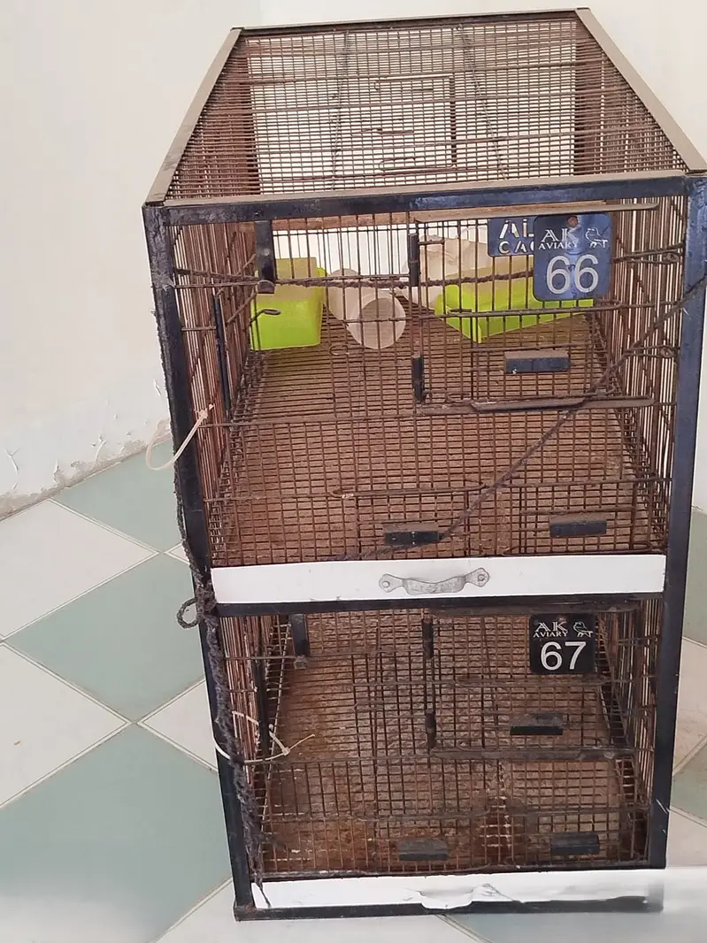 Birds Cages — photo 5