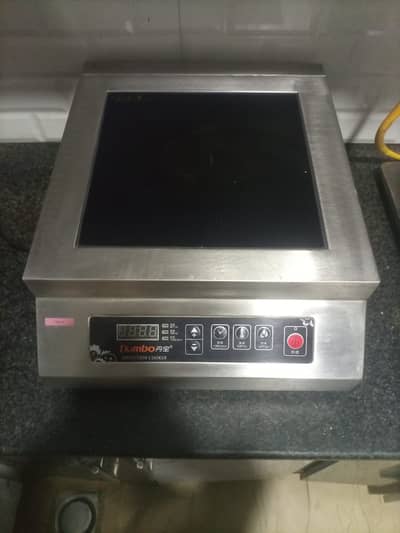Electric Induction Stove