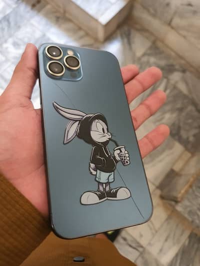 Apple iPhone 12 Pro Max