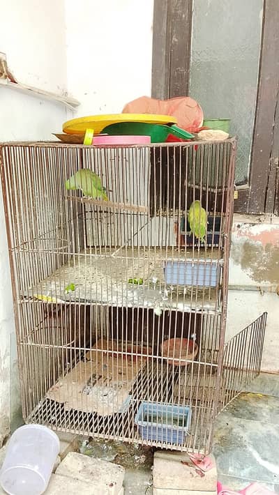 Pinjra for sale in 6700