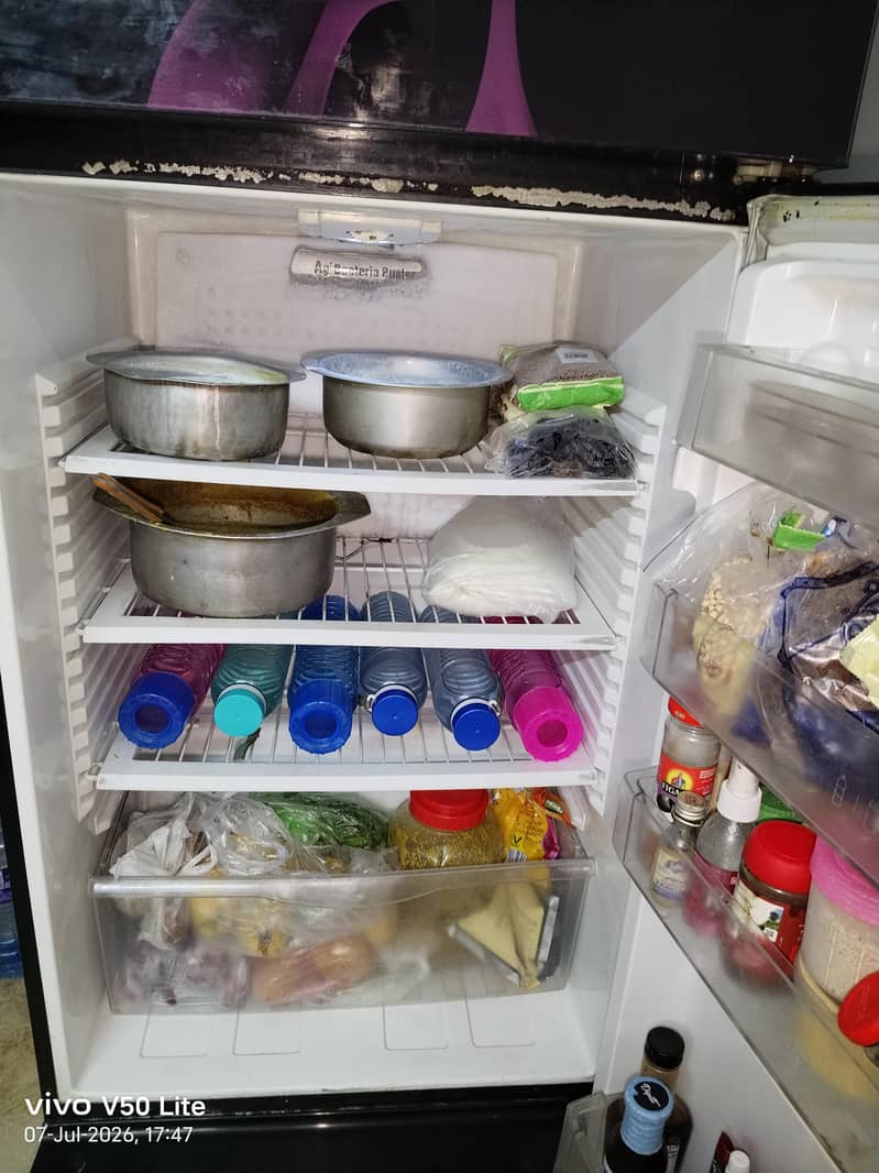 fridge 1