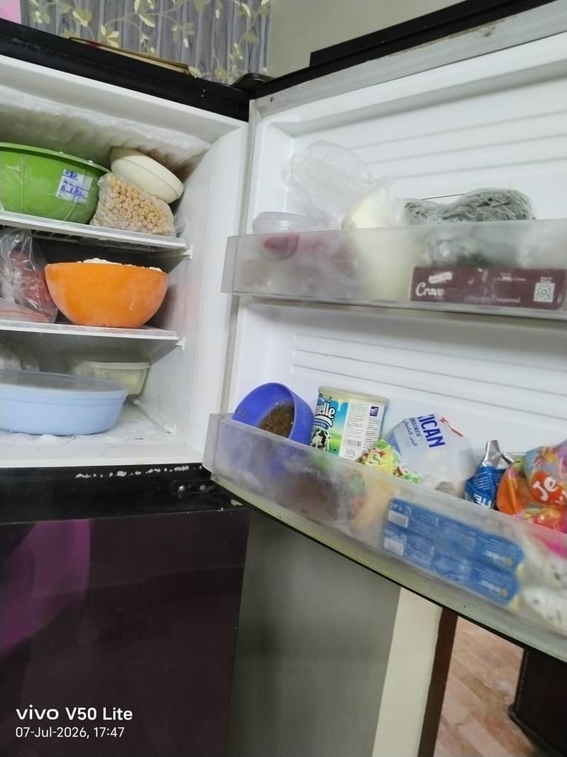fridge 2