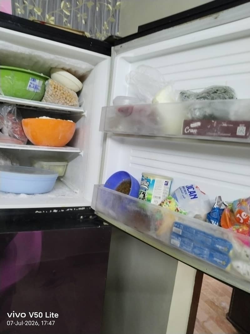 fridge 3