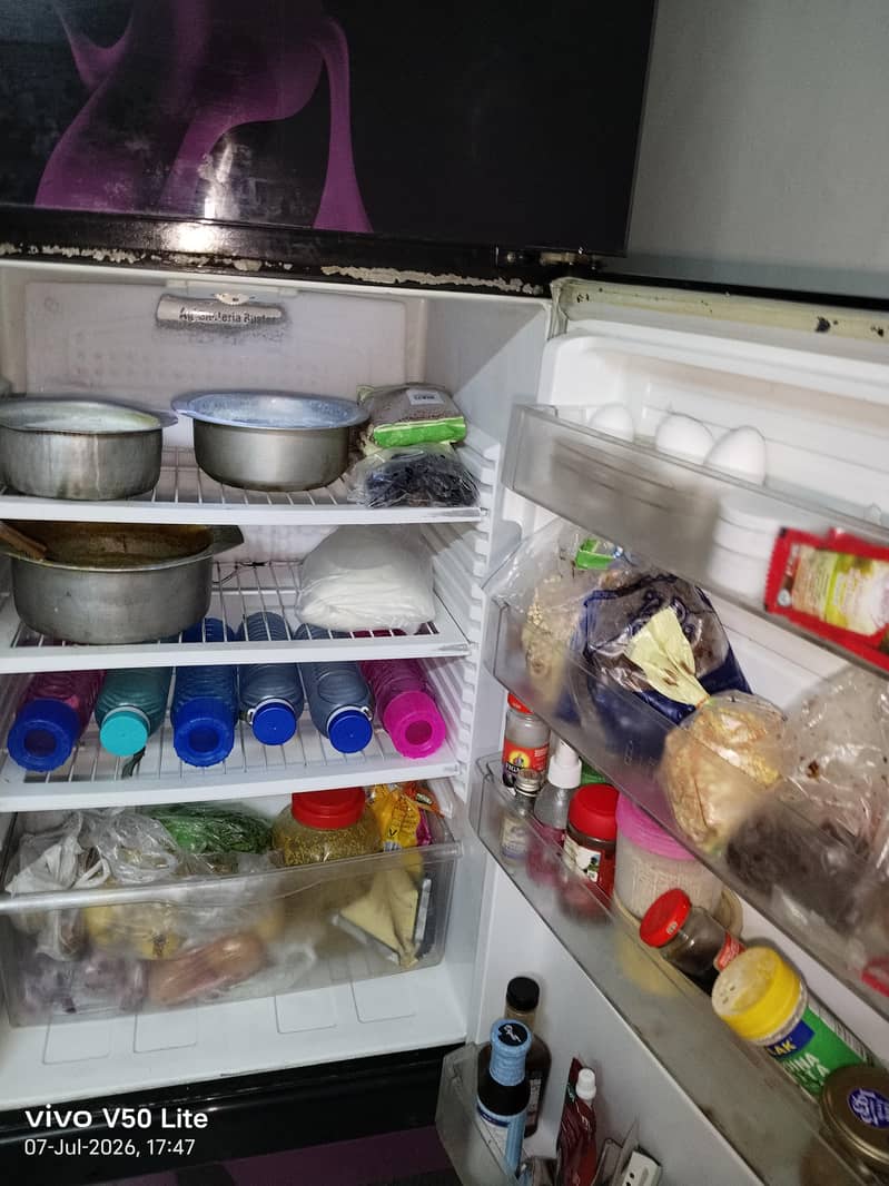 fridge 4