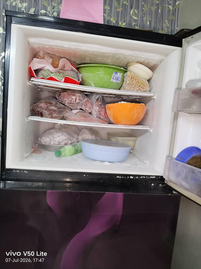 fridge 5