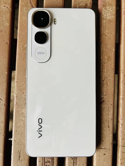 Viv0 Y400 read discraption first