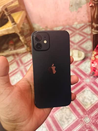 iPhone 12