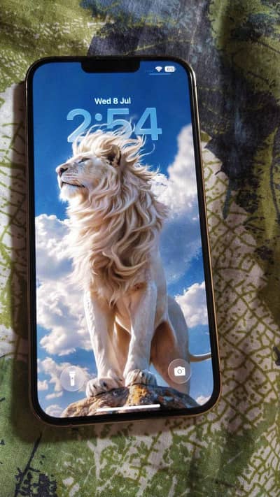Apple iPhone 13 Pro Max