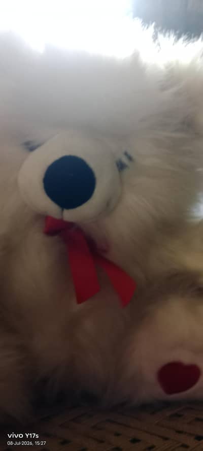 soft toy 