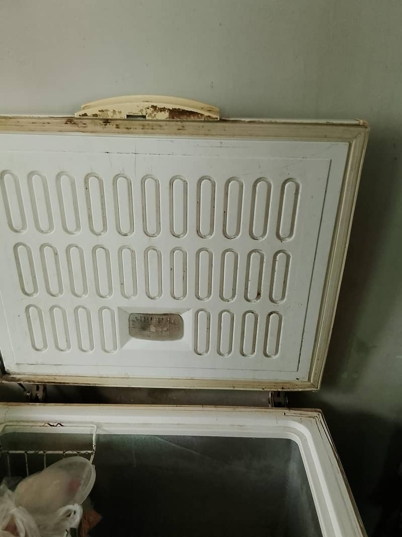 freezer 5