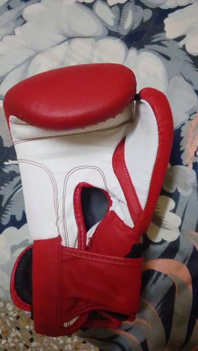 Boxing gloves