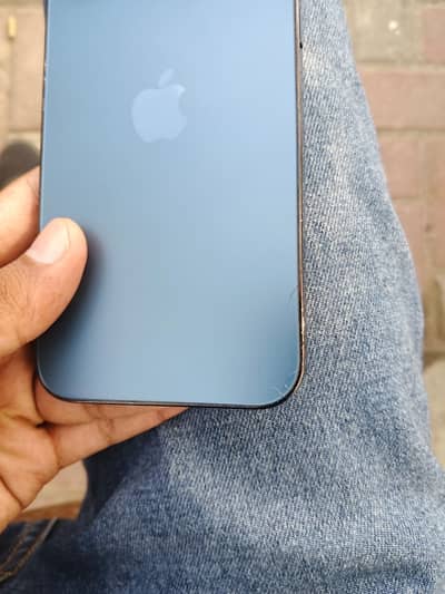Apple iPhone 12 Pro Max
