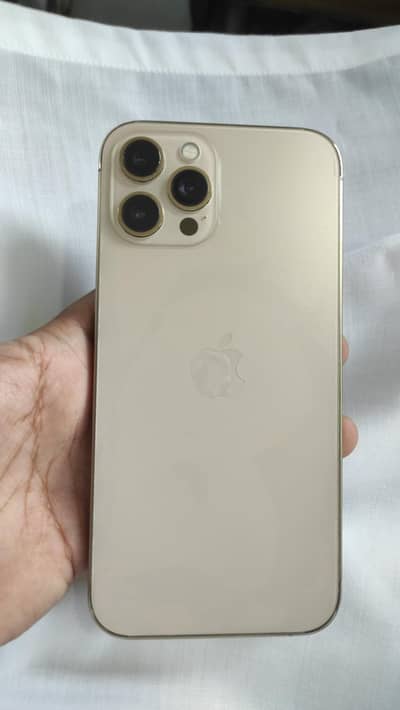 Apple iPhone 12 Pro Max 512 GB non pta panal change