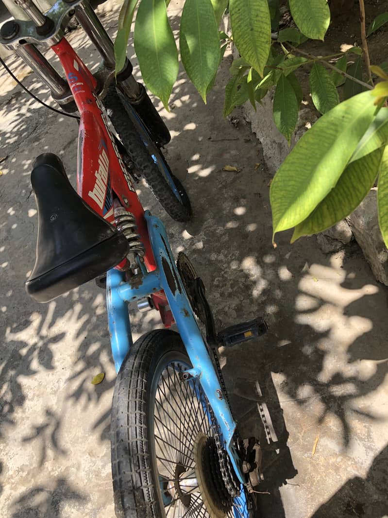 Cycle Full okay 1