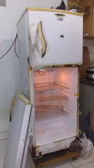 waves fridge size medium