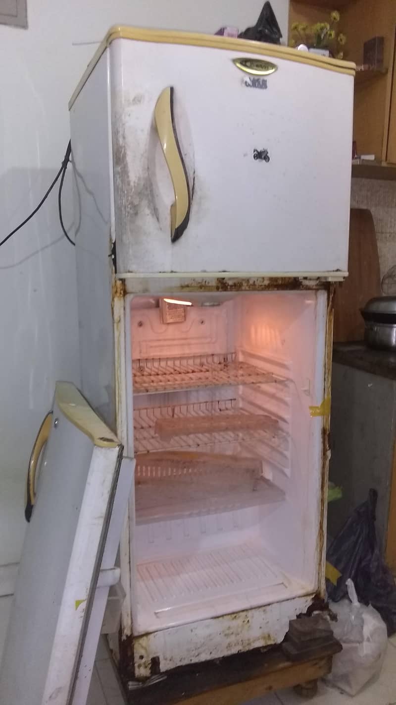 waves fridge size medium 1