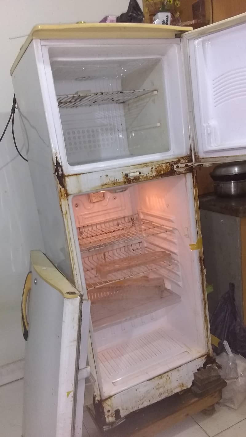 waves fridge size medium 2
