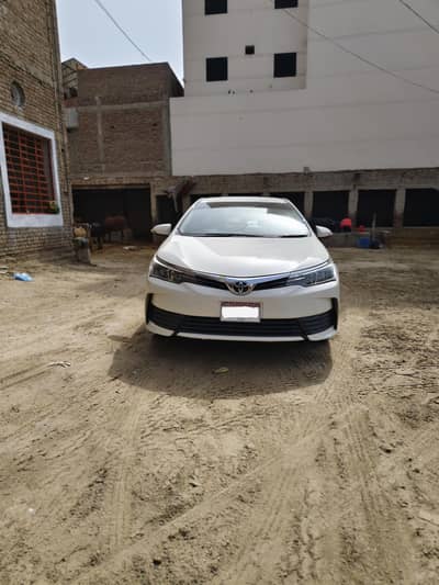 GLi 2017 Genuine