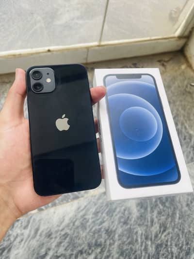 Apple iPhone 12