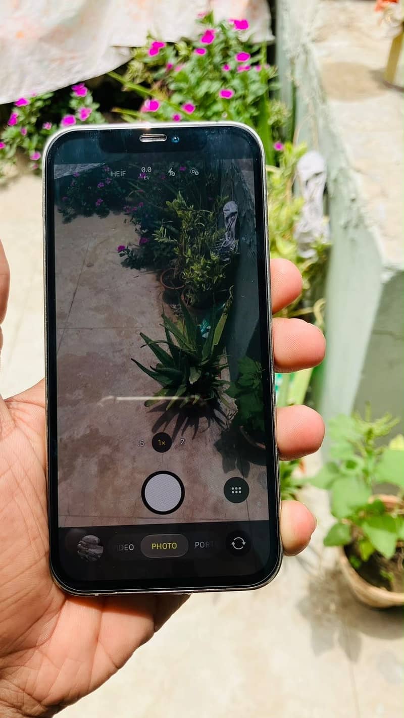 iphone 12 pro 5