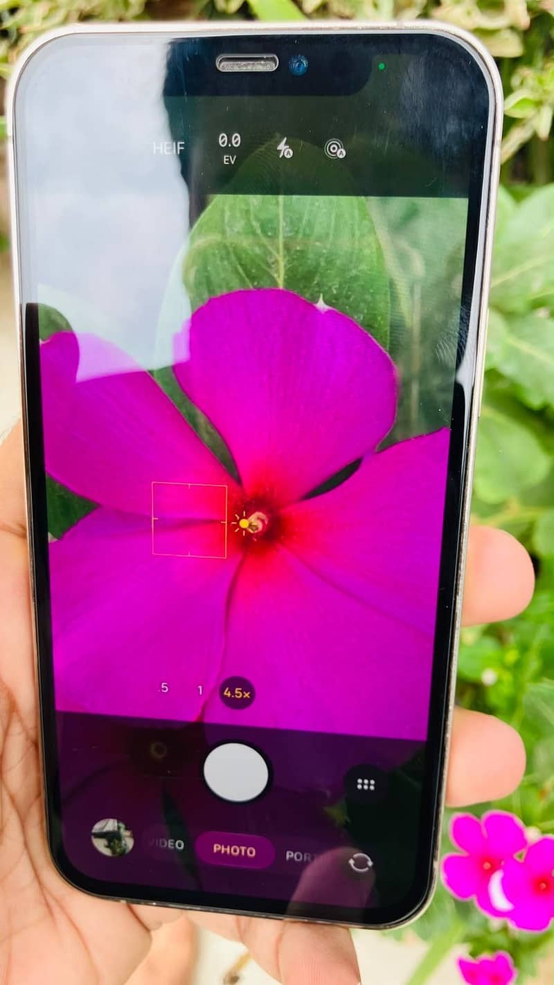 iphone 12 pro 6