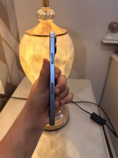 iPhone 13 Pro Max pta approved official 10 by 10 condition