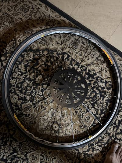Rasing Carbon fiber Cycle