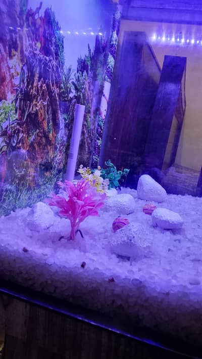 Aquarium