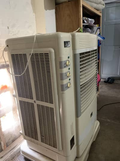full size cooler