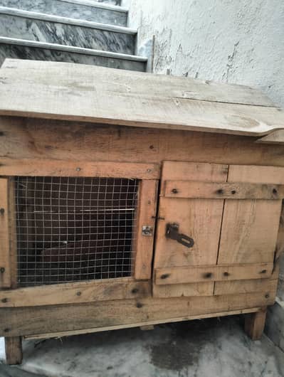 1000 ka 2 wooden cage with guarantee