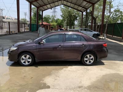 Toyota Corolla GLI 2012