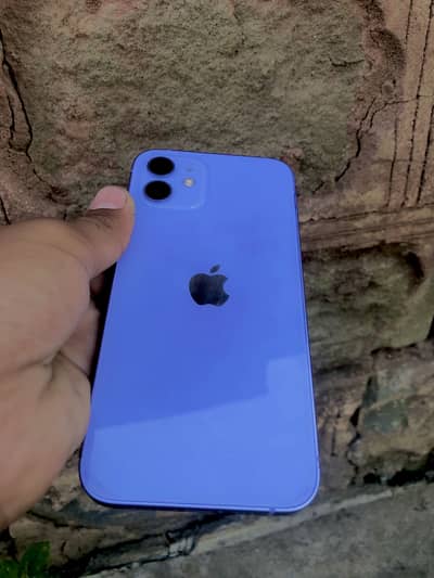 Apple iPhone 12