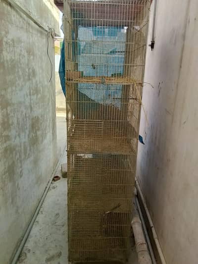 urgent sale cage