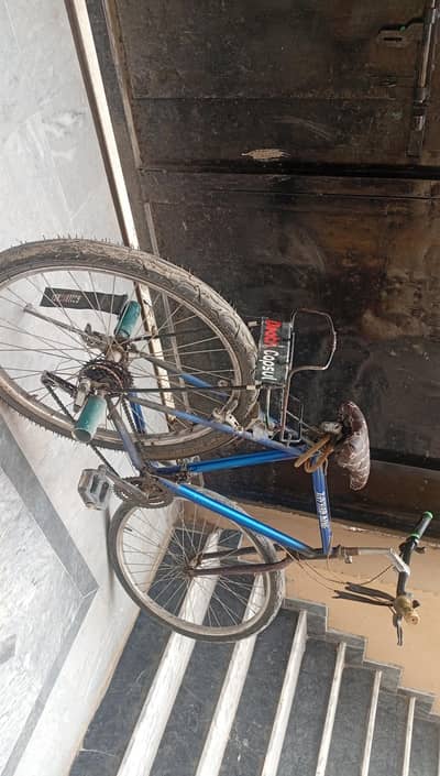 phonix cycle