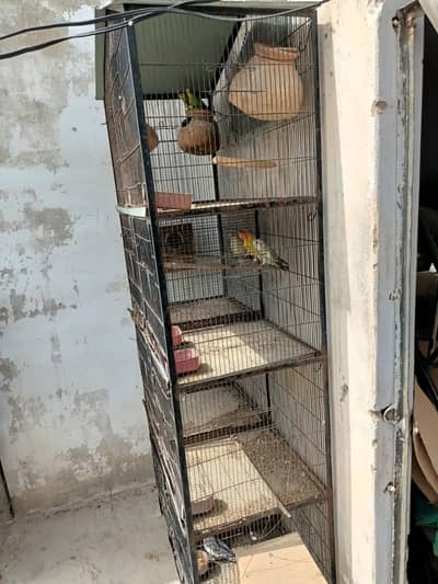 6 PORTION CAGE WITH UPPER COLONY