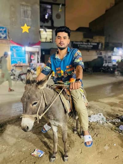Owais Qureshi