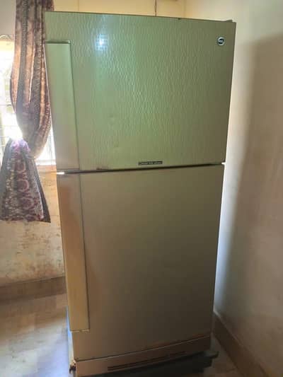 PEL Fridge for Sale – Clean & Well Maintained