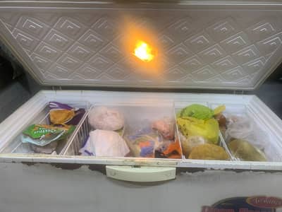 Waves Single Door Deep Freezer - 03320362101